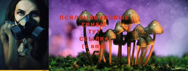 амф Алзамай