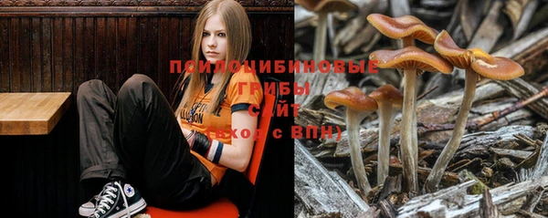 амф Алзамай