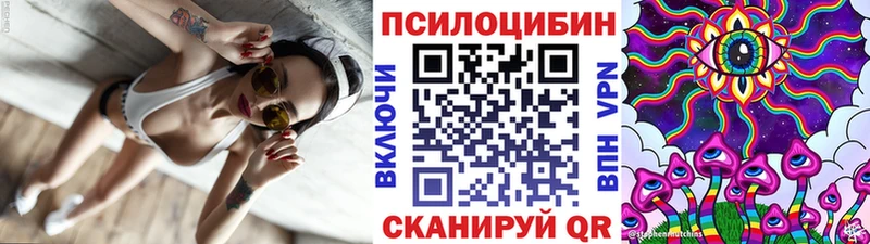 Псилоцибиновые грибы мухоморы  купить  сайты  mega как зайти  Аргун 